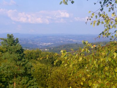 200909_0014 