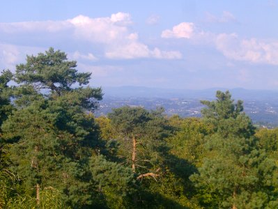 200909_0015 