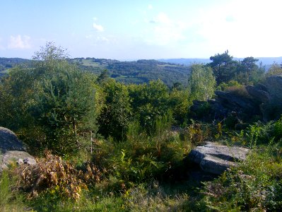 200909_0010 