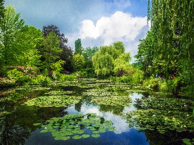 Gardens monet giverny gardens