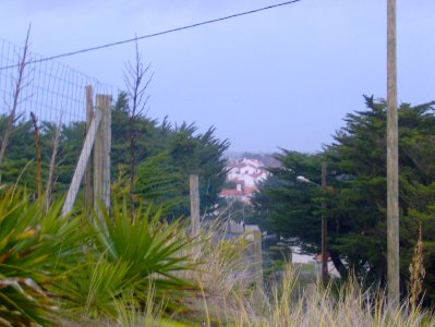 200912_0086 