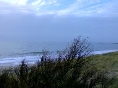 200912_0077 