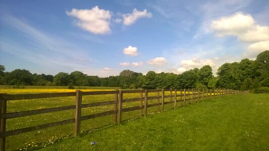 Country green grass photo