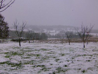 200912_0008 