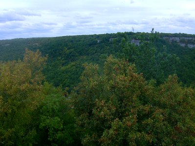 200908_0016 