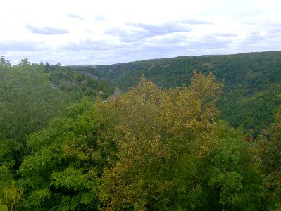 200908_0017 