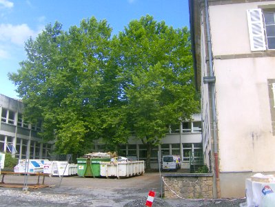 200907_0046 