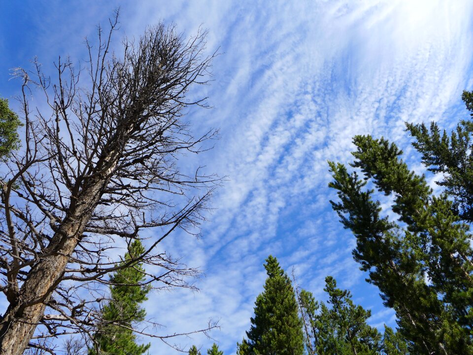 Nature summer cloud