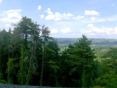 200906_0115 