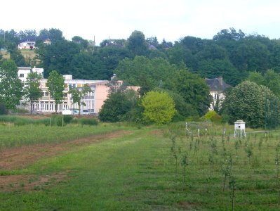 200906_0059 