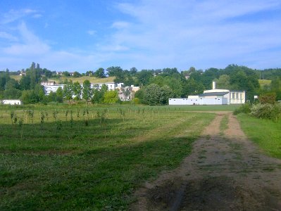 200906_0053 