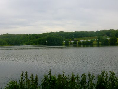 200906_0028 