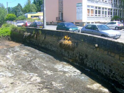 200906_0008 