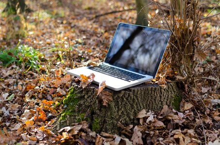 Notebook green wireless