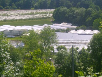 200905_0057 