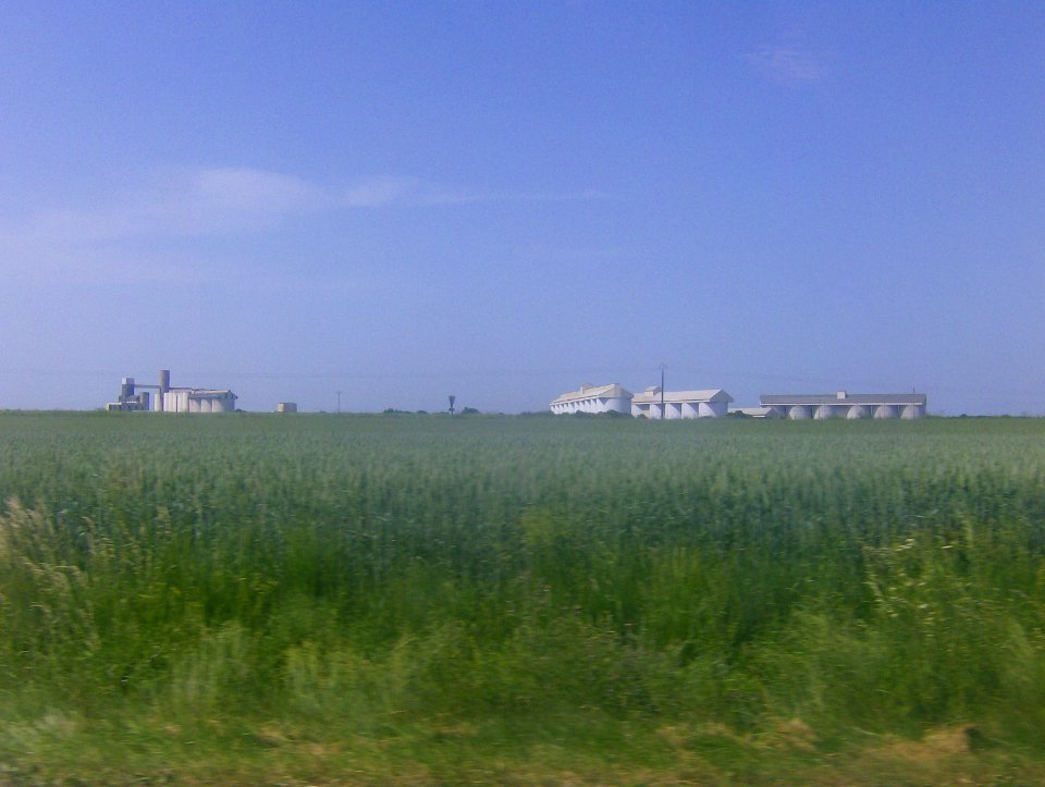 200905_0048 