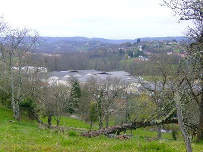 200903_0104 