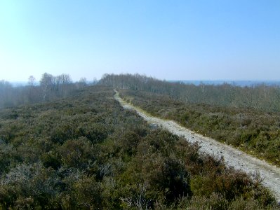 200903_0083 