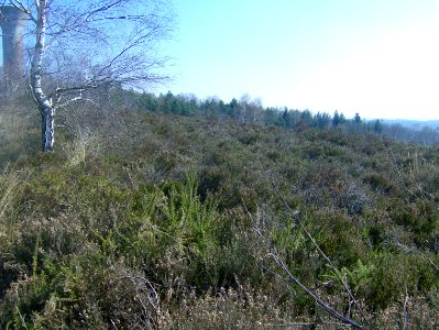 200903_0078 