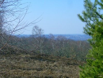 200903_0075 