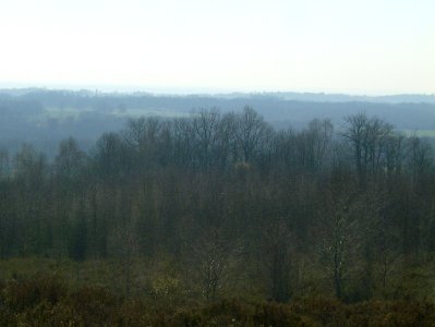 200903_0071 
