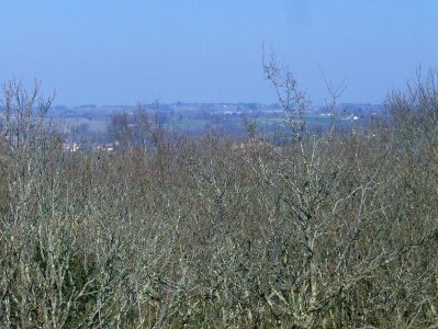 200903_0064 