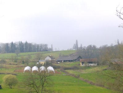 200903_0010 