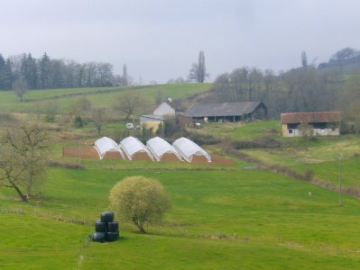 200903_0005 