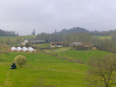 200903_0006 