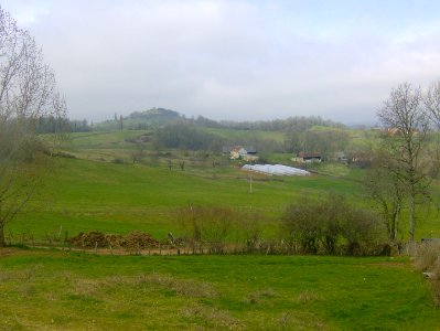 200903_0001 