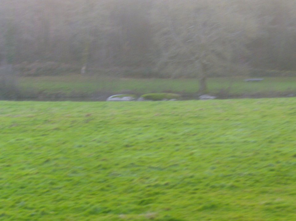 200812_0015 