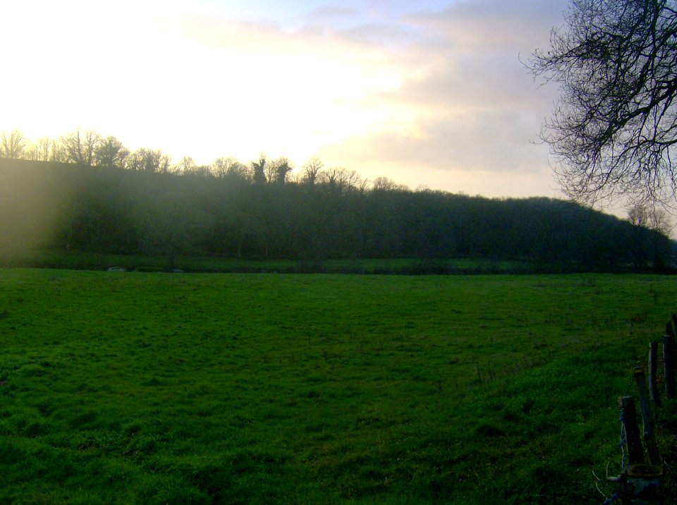 200812_0014 