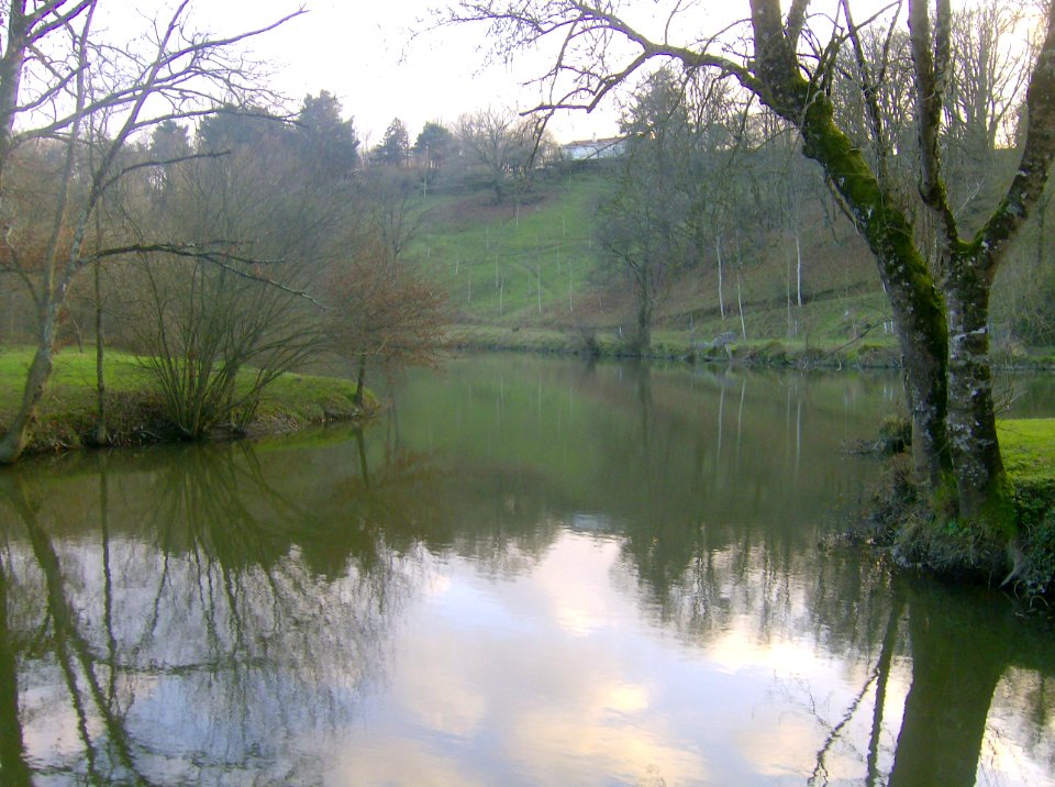 200812_0011 