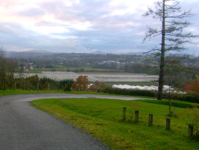 200811_0018 