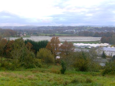 200811_0017 