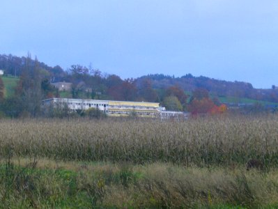 200811_0011 