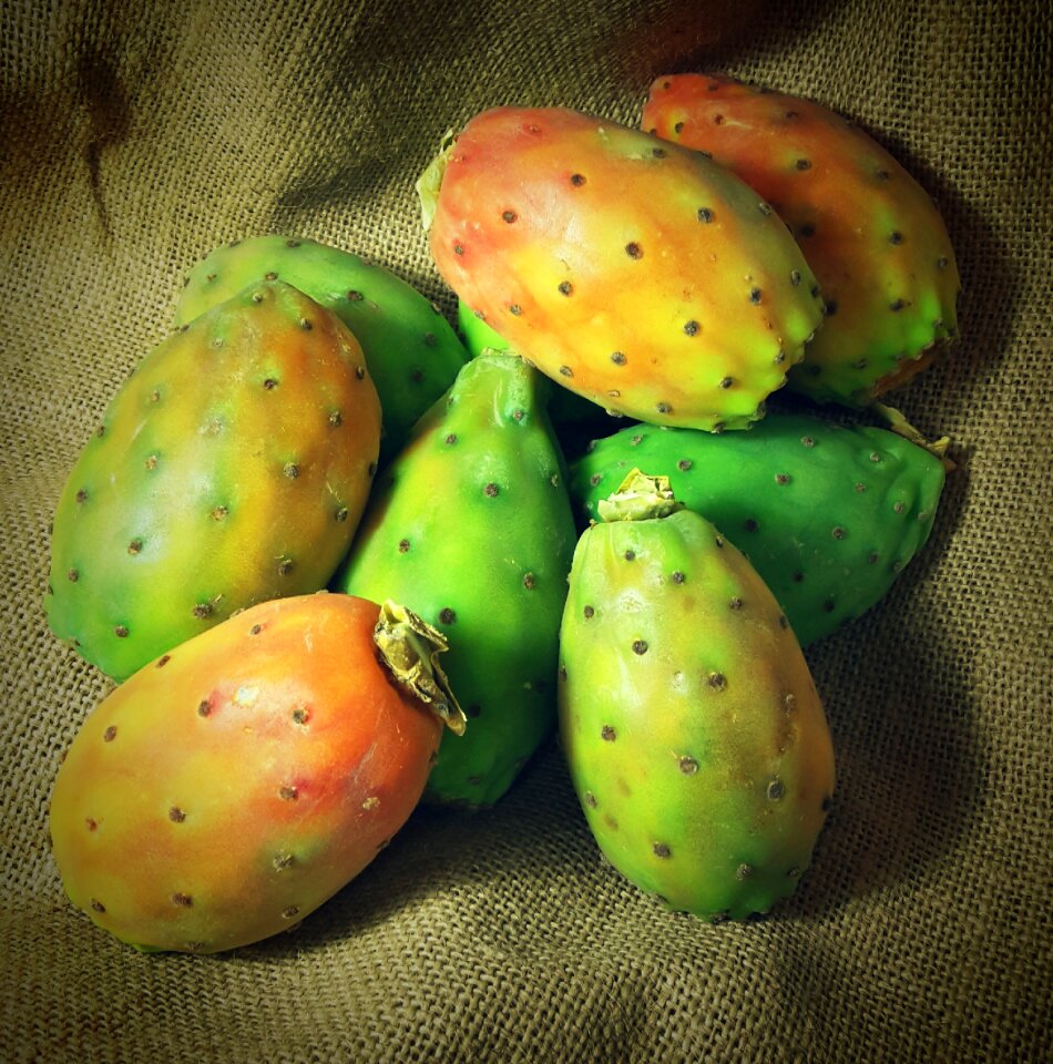 Prickly pear cactus fruit fruit
