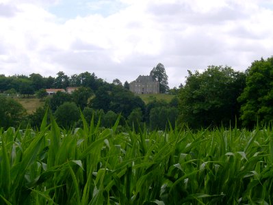 200807_0029 