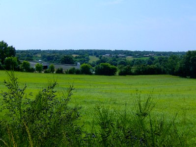 200807_0005 
