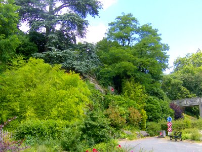 200806_0558 