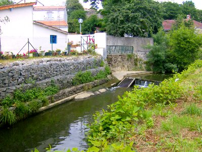 200806_0554 
