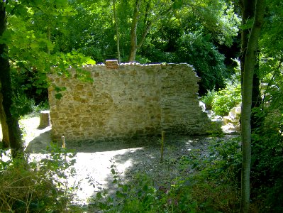 200806_0550 