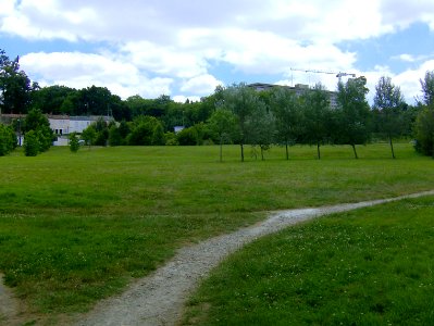200806_0549 