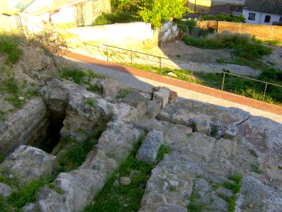 200806_0533 