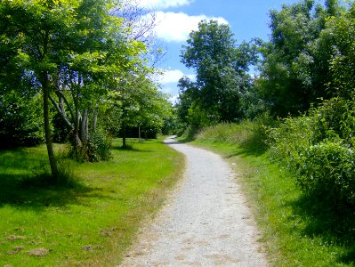 200806_0555 