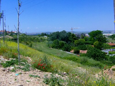 200806_0491 