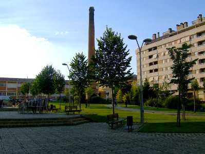 200806_0445 