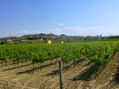 200806_0429 