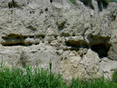 200806_0390 