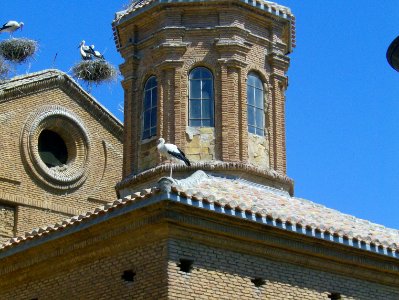 200806_0387 